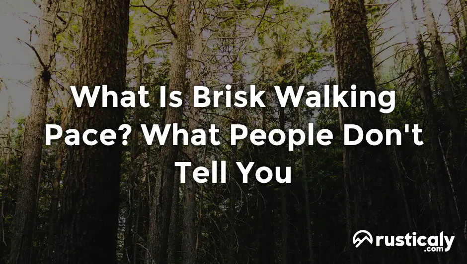 what is brisk walking pace
