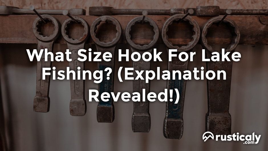 what size hook for lake fishing