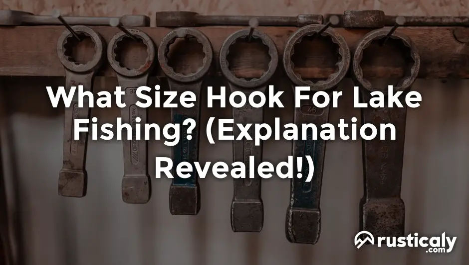 what size hook for lake fishing