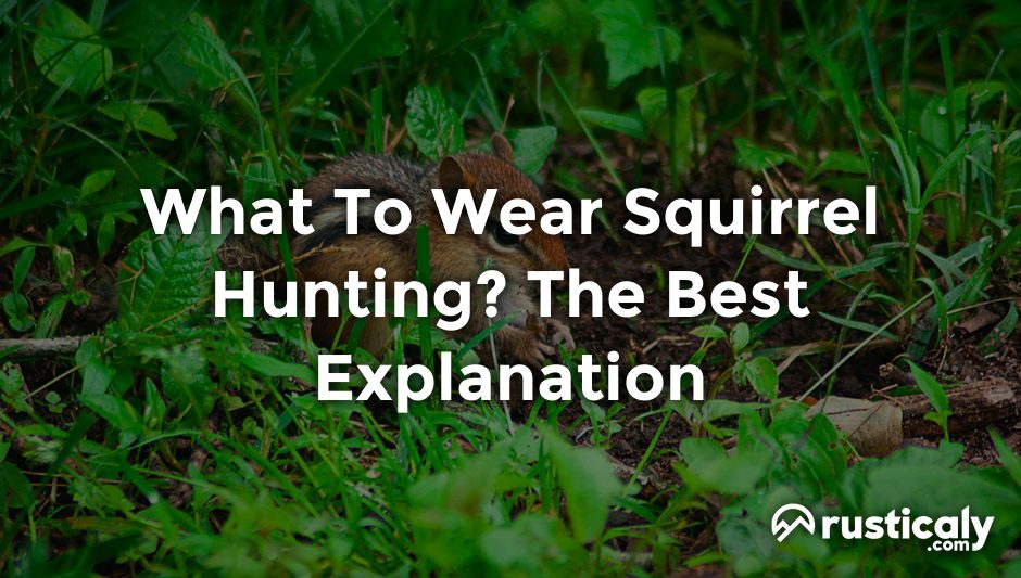 what to wear squirrel hunting
