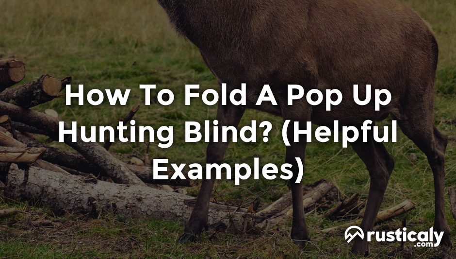 how to fold a pop up hunting blind