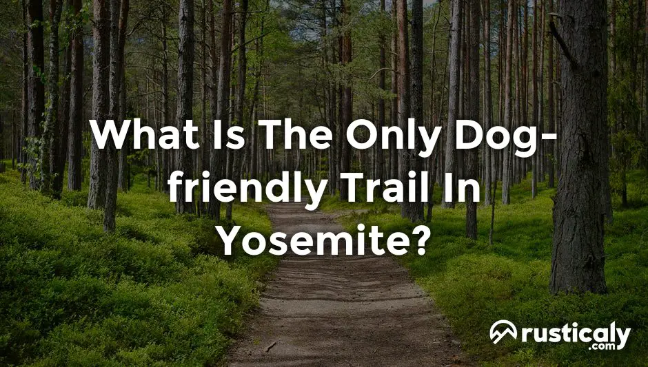 what is the only dog-friendly trail in yosemite