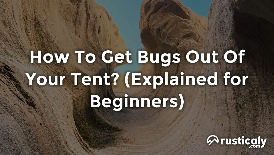 how to get bugs out of your tent