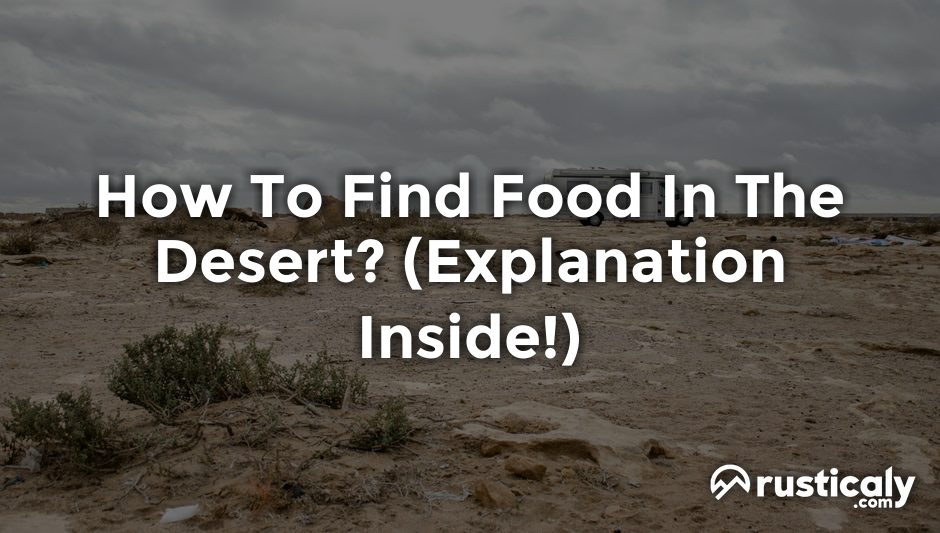 how to find food in the desert
