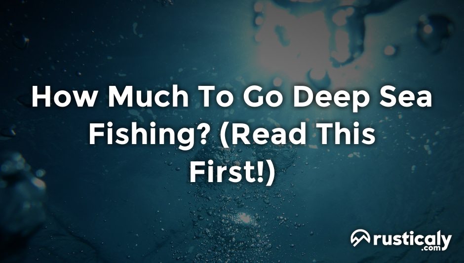 how much to go deep sea fishing