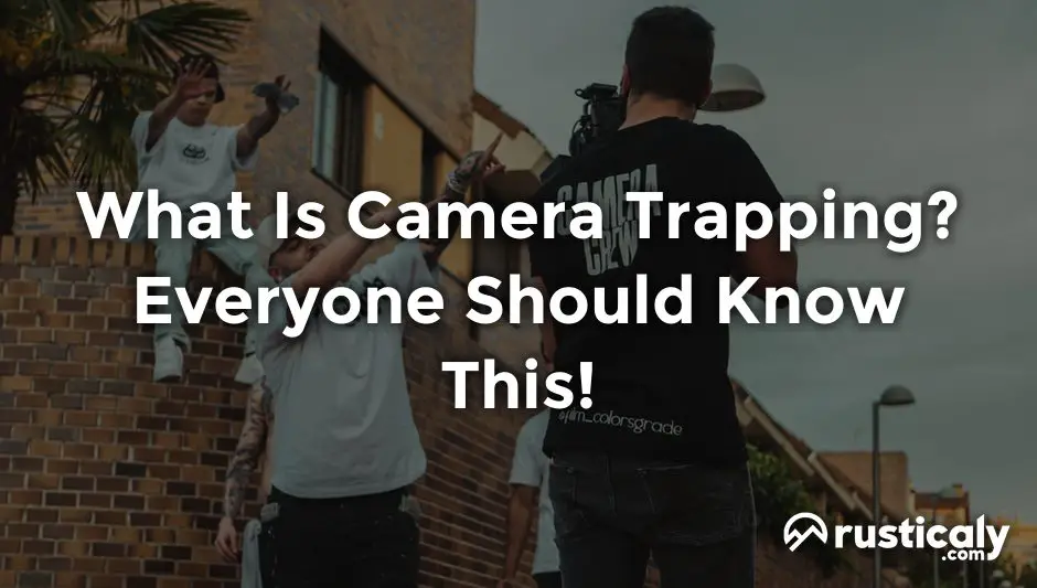 what is camera trapping