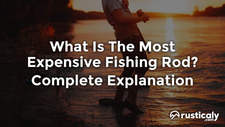 what is the most expensive fishing rod