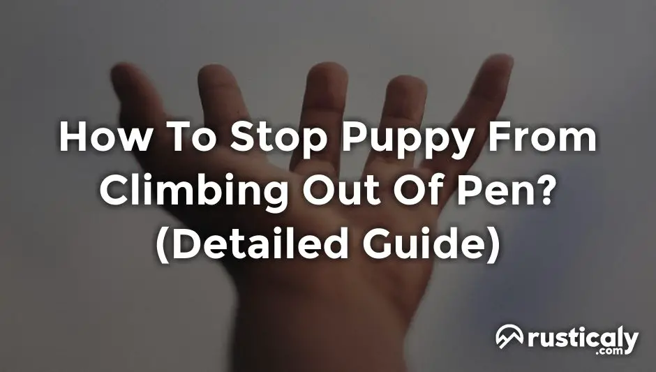 how to stop puppy from climbing out of pen