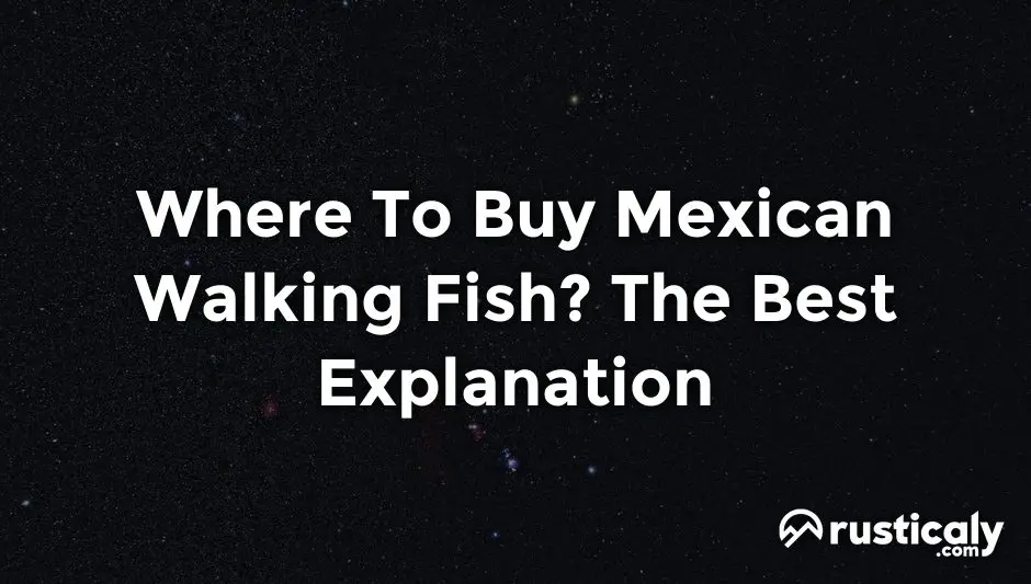 where to buy mexican walking fish