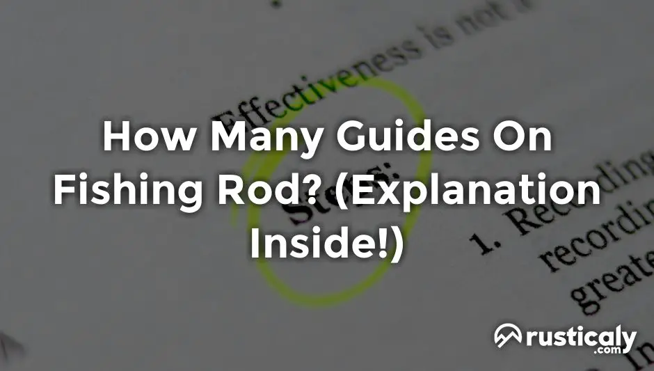 how many guides on fishing rod