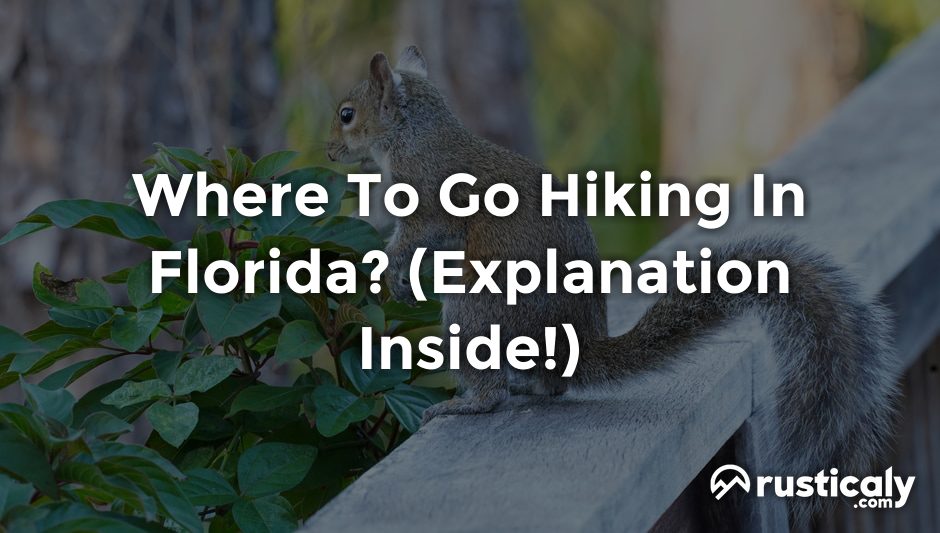 where to go hiking in florida