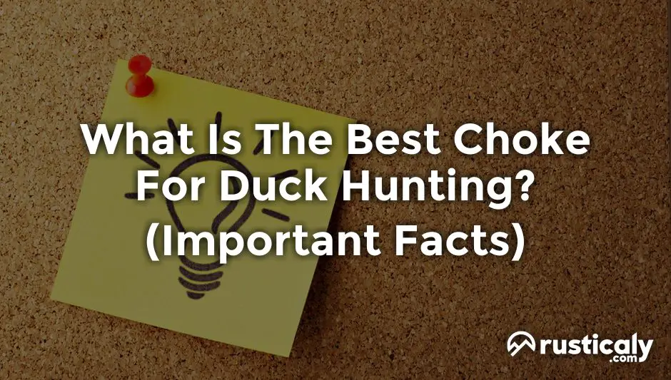 what is the best choke for duck hunting