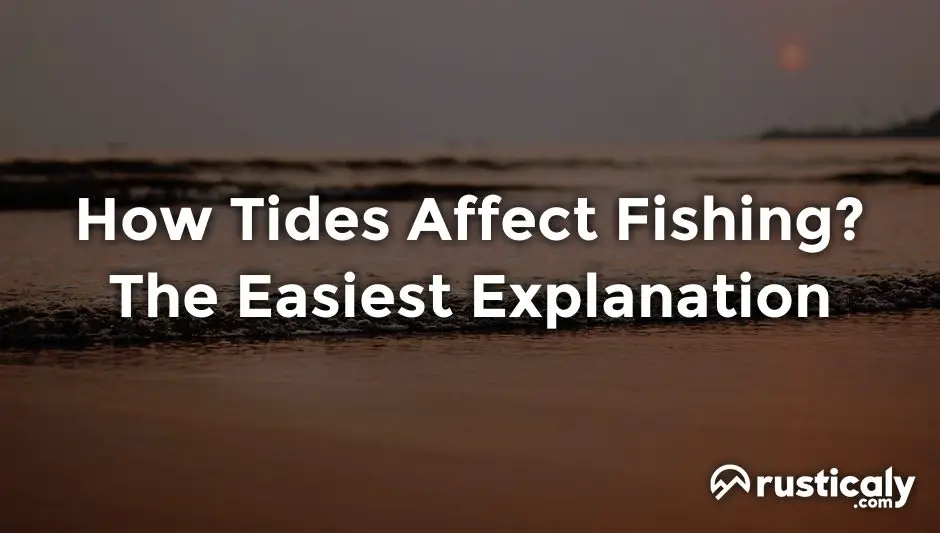 how tides affect fishing