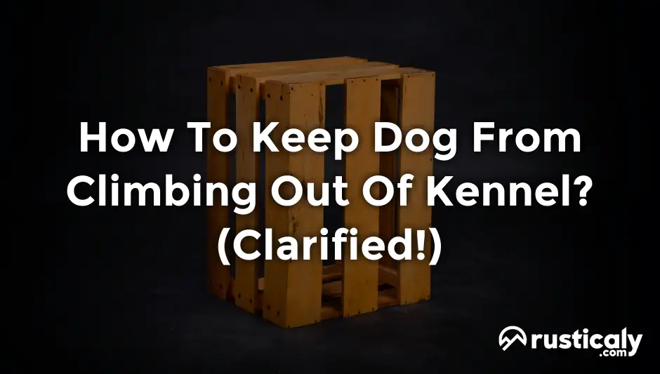 how to keep dog from climbing out of kennel