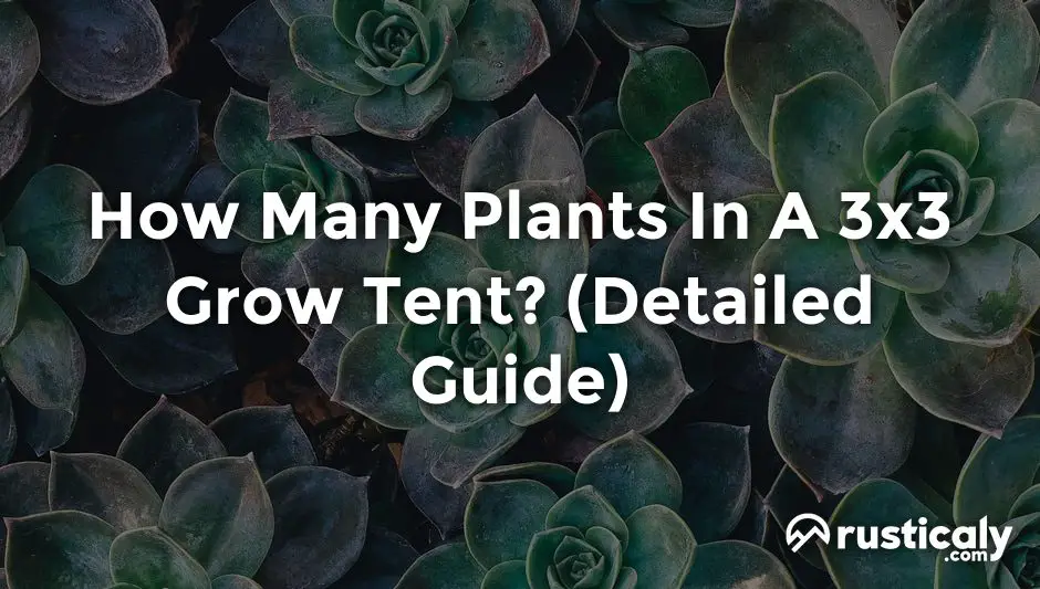 how many plants in a 3x3 grow tent