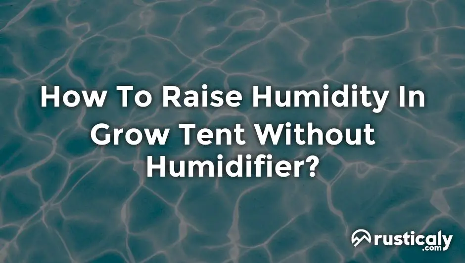 how to raise humidity in grow tent without humidifier