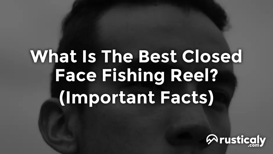 What Is The Best Closed Face Fishing Reel? (Important Facts)