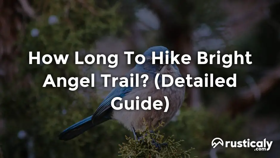 how long to hike bright angel trail