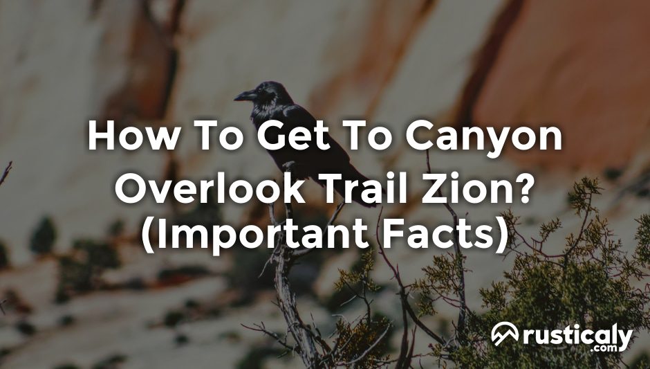 how to get to canyon overlook trail zion