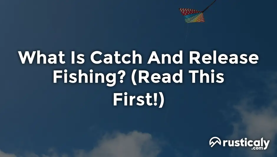 what is catch and release fishing