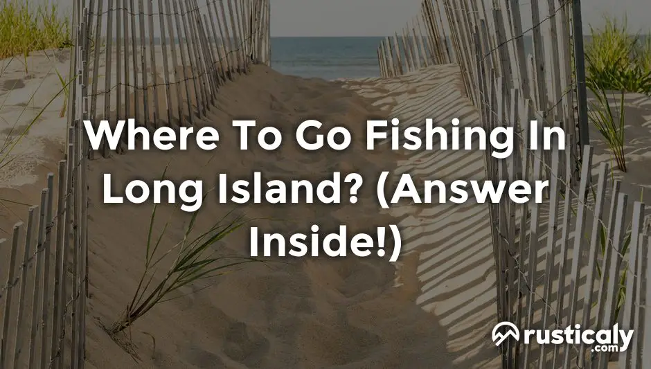 where to go fishing in long island