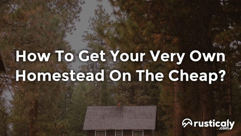 how to get your very own homestead on the cheap