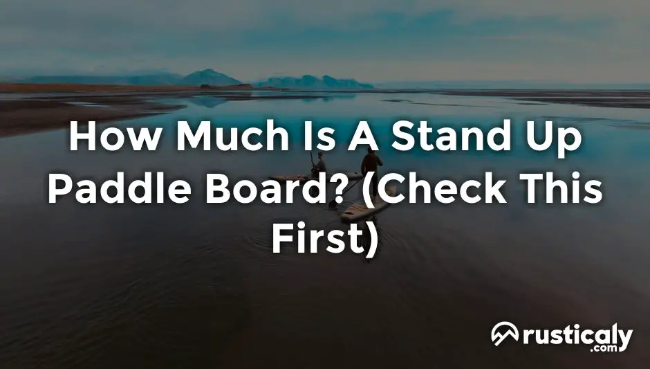 how much is a stand up paddle board