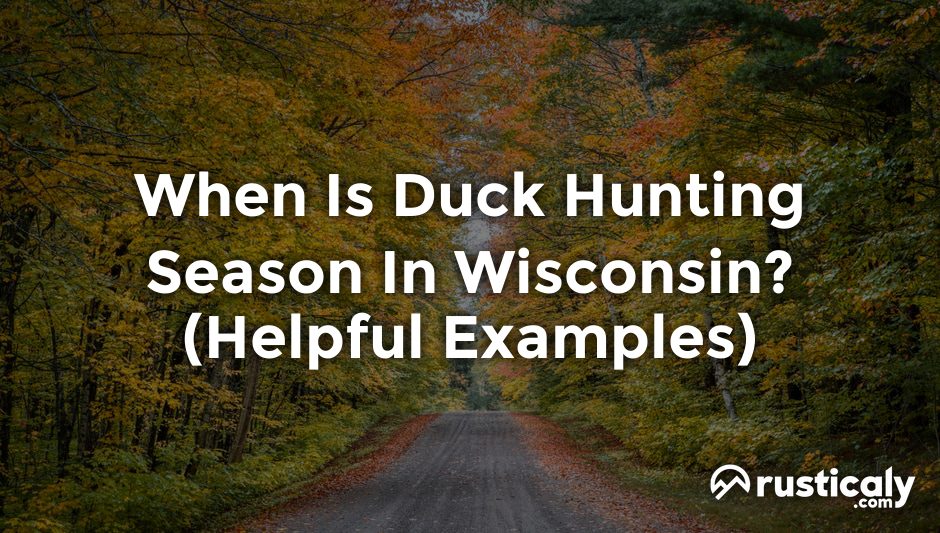 when is duck hunting season in wisconsin