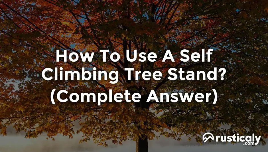 how to use a self climbing tree stand