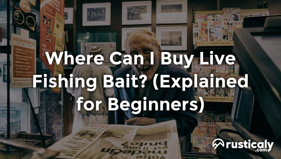 where can i buy live fishing bait