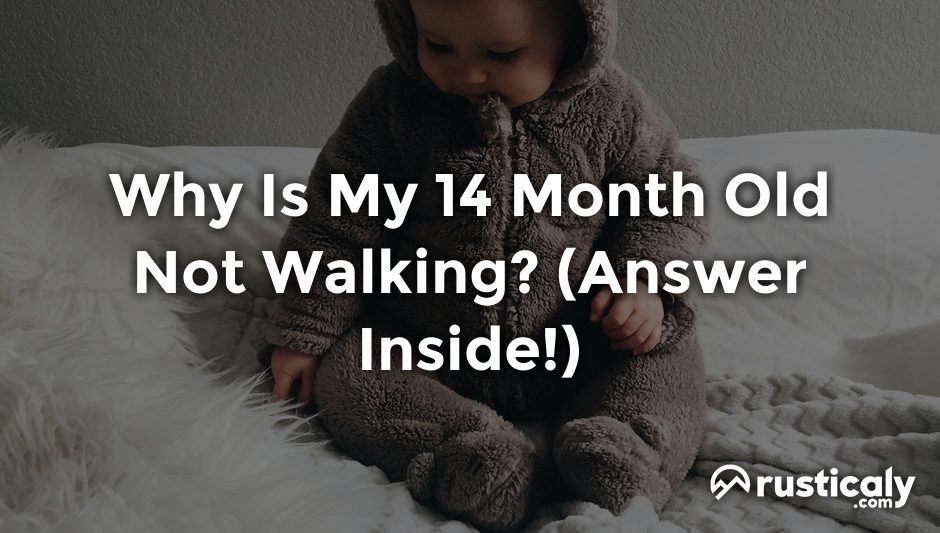 why is my 14 month old not walking