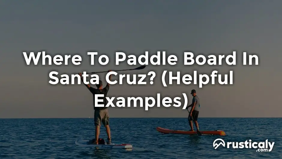 where to paddle board in santa cruz