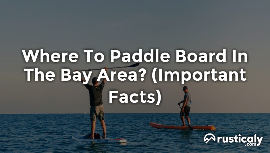 where to paddle board in the bay area