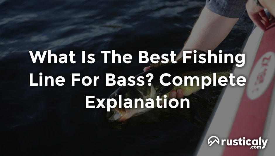 what is the best fishing line for bass