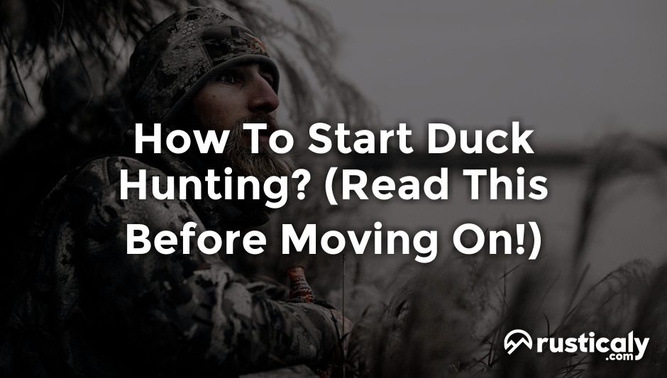 how to start duck hunting