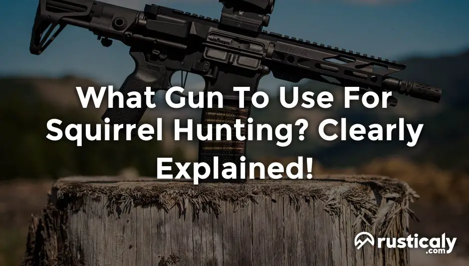 what gun to use for squirrel hunting