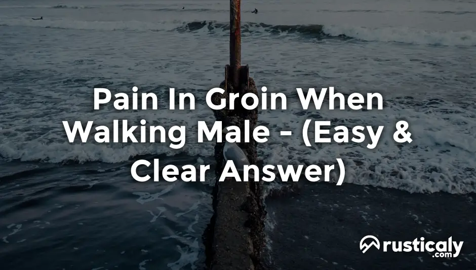 pain in groin when walking male