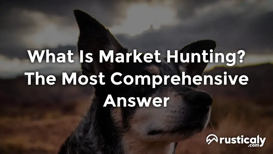 what is market hunting