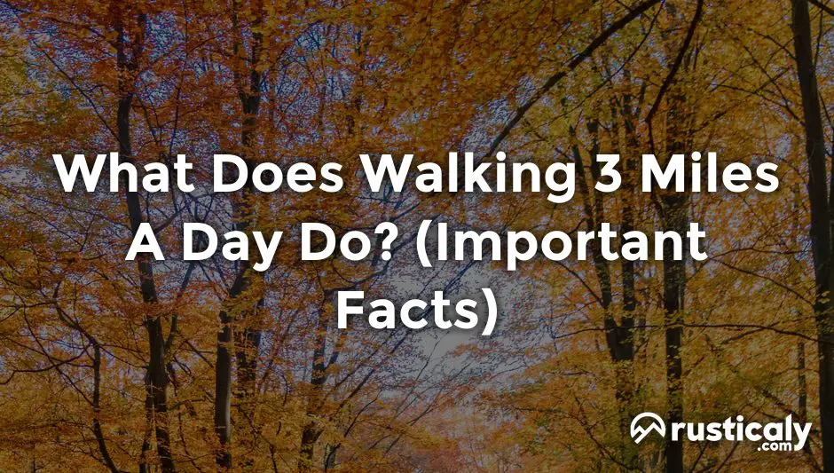 what does walking 3 miles a day do