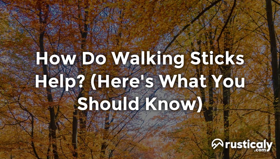 how do walking sticks help
