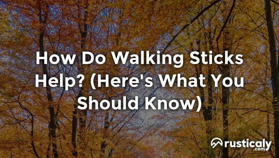 how do walking sticks help