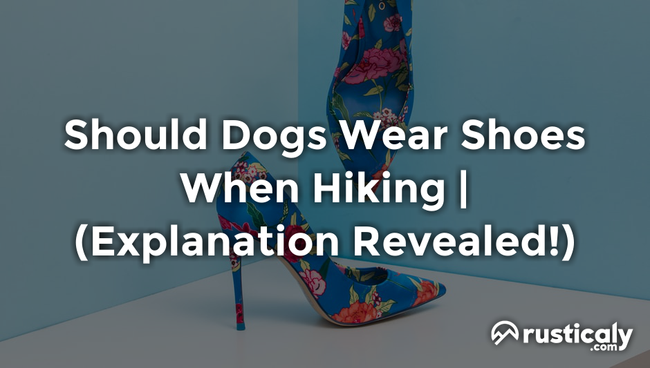 should dogs wear shoes when hiking