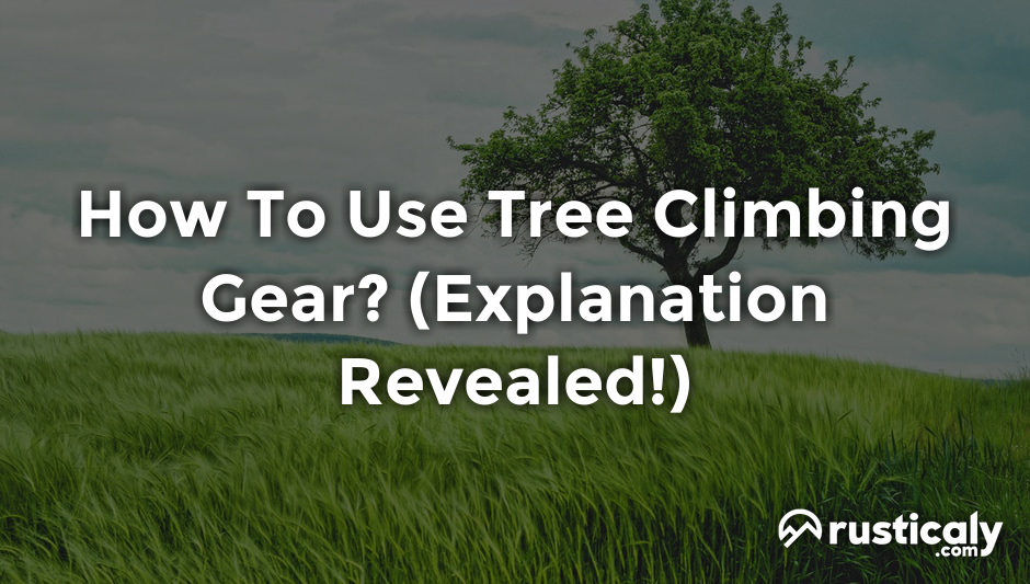 how to use tree climbing gear