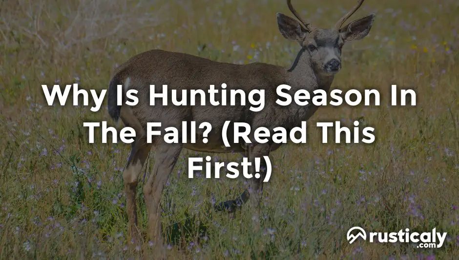 why is hunting season in the fall