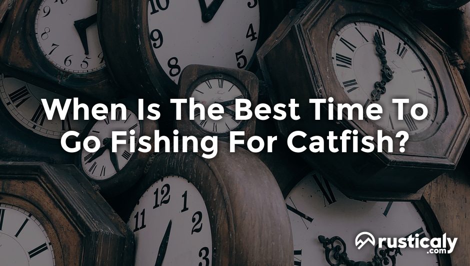 when is the best time to go fishing for catfish