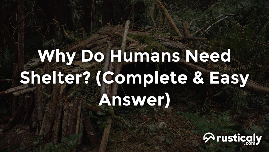 why do humans need shelter