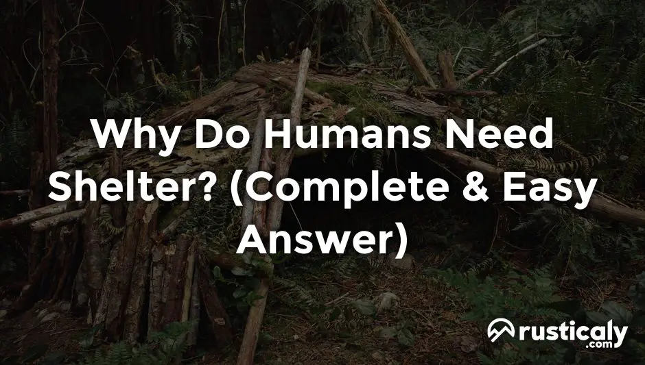 why do humans need shelter