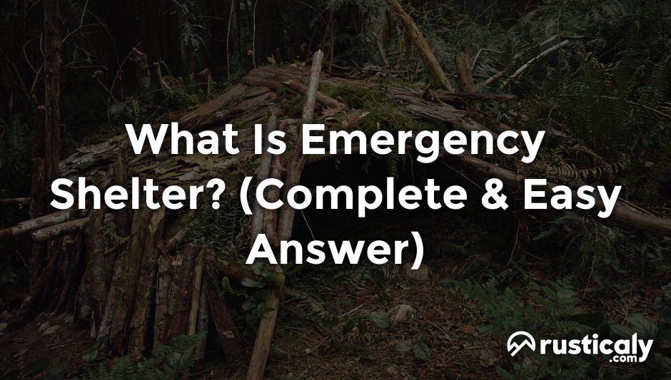 what is emergency shelter