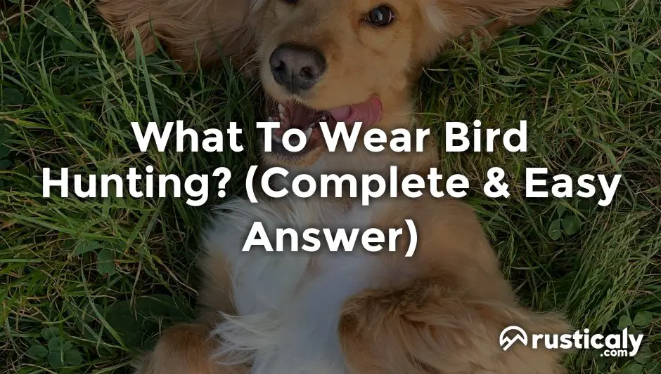 what to wear bird hunting