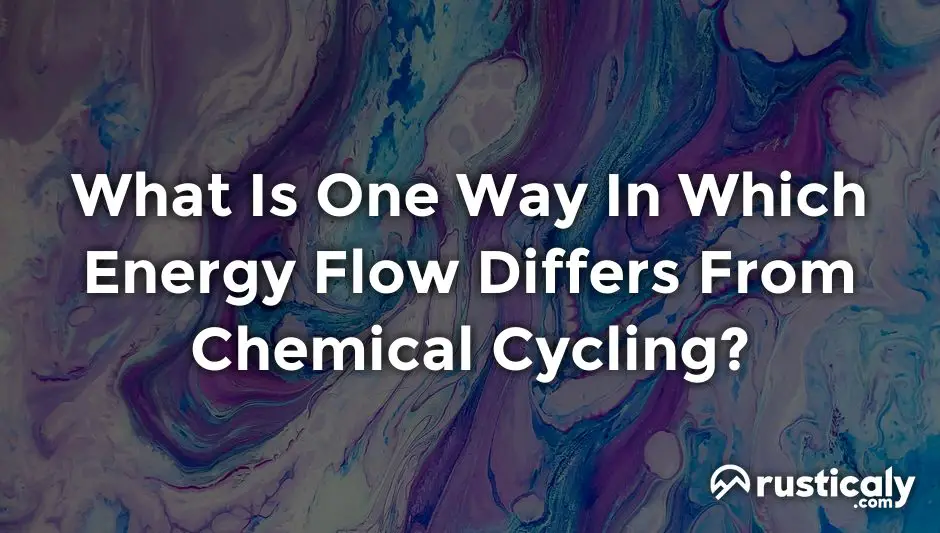 what is one way in which energy flow differs from chemical cycling